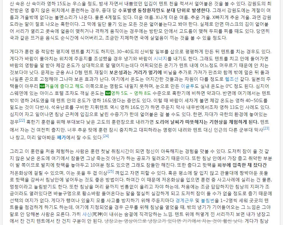 혹한기 텐트의 개막장급 온도.png.jpg