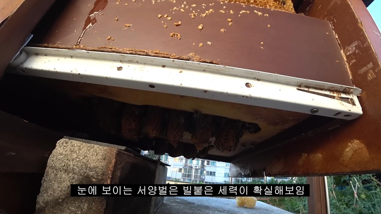 스크린샷 2025-08-15 164449.png.jpg