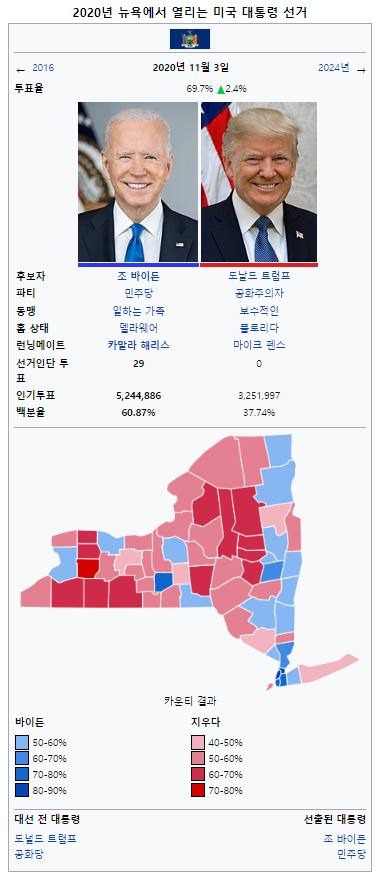 뉴욕 투표율.png