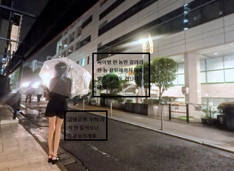 스크린샷 2026-06-06 052243.png.jpg