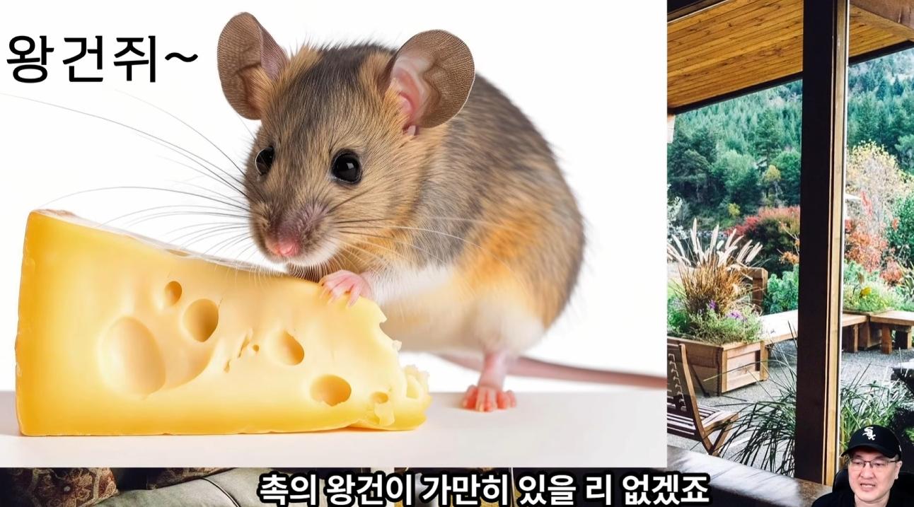 스크린샷 2026-06-08 035326.png.jpg