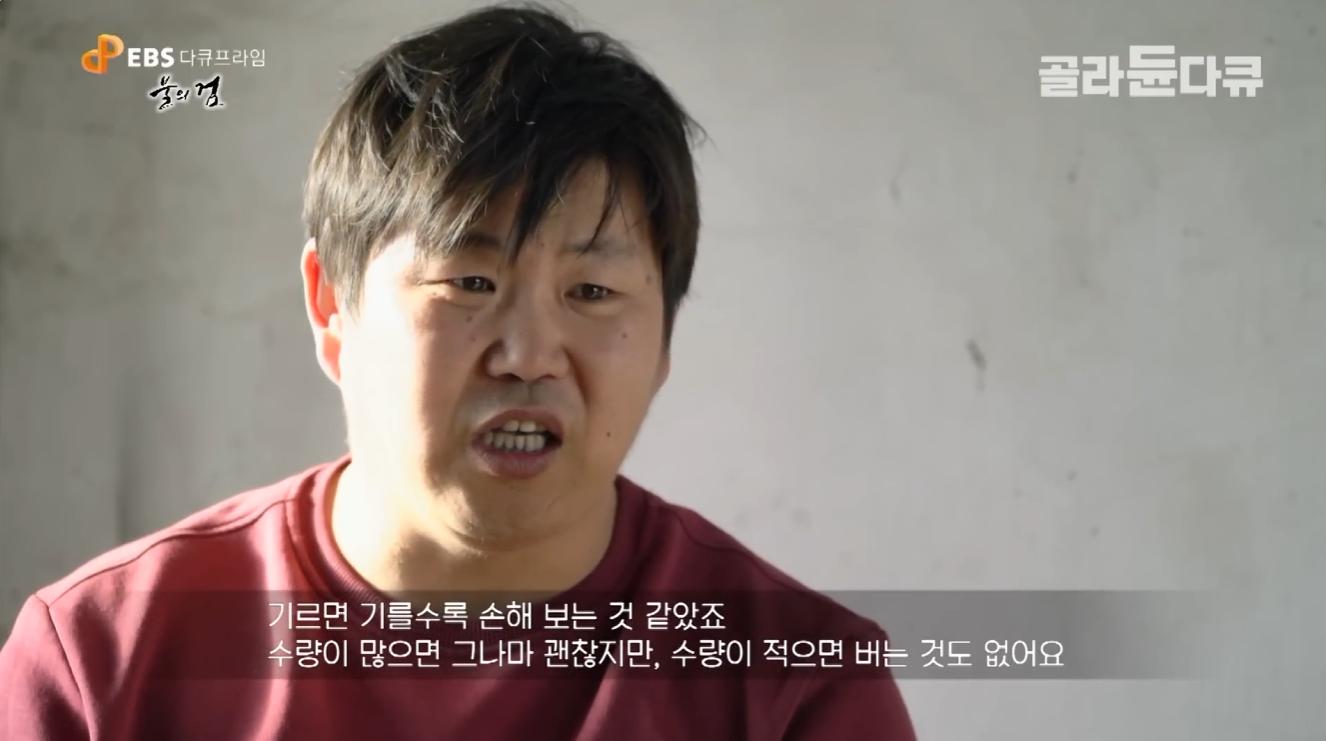 스크린샷 2026-07-26 075750.png.jpg