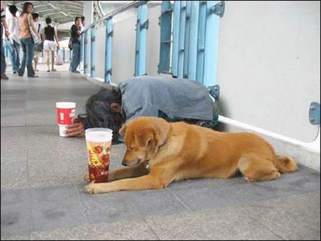 beggar-and-dog-praying.jpg